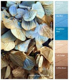 blue and brown leaves are shown in this color scheme