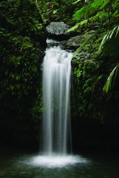 a small waterfall in the middle of a forest