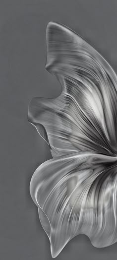 an abstract photograph of a flower on a gray background