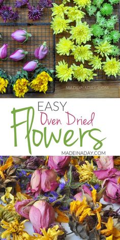 different types of flowers are shown in this collage with the words easy diy dried flowers