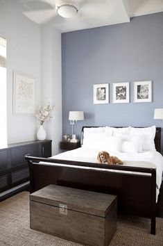 a dog laying on top of a bed in a room with blue walls and furniture