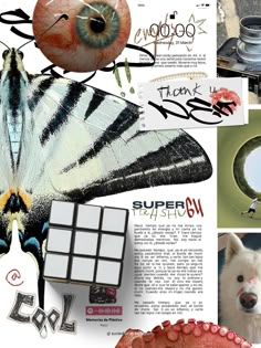 a collage of pictures with different animals and things to see in them, including a butterfly