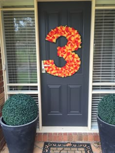 two large planters sitting in front of a door with the number 3 on it