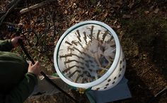 a man is holding a fishing rod and looking at the fish in it's net