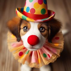 a dog wearing a colorful clown hat with polka dots on it's face and looking up at the camera