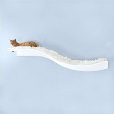 a cat laying on top of a shelf that is shaped like a long curved tube