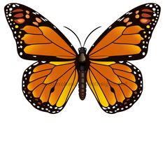 Butterfly Door Hanger Orange Decoe-W-903735-Dh 22’ Wood Butterfly Door Hanger, Door Hanger Signs, Butterfly Door, Small Easel, Door Hanger Christmas, Wood Wreath, House Wood, Festive Wreath, Orange Butterfly