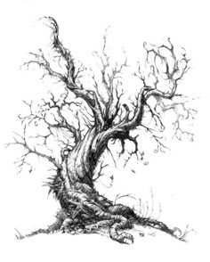 an ink drawing of a tree with no leaves