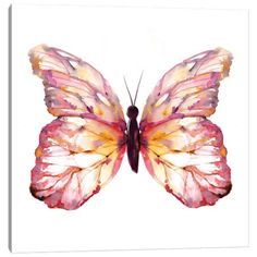 a pink and yellow butterfly with wings spread out, on a white backgroud