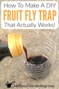 a person pouring fruit fly trap into a small glass bowl with the words how to make a diy fruit fly trap that actually works