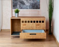 a wooden cabinet with two drawers and a potted plant next to it on a hard wood floor