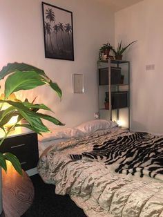 a bed with a zebra print comforter and two planters on the nightstands