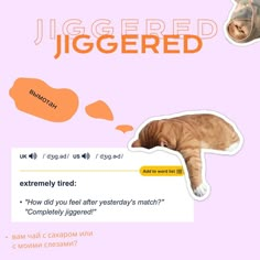 an orange cat laying on top of a pink background with the caption'iggged jiggered '