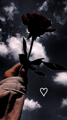 a person holding up a single rose with the sky in the back ground and clouds in the background