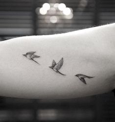 small birds flying in the air on someone's arm