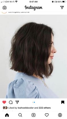 Cute Hairstyles, Hair Inspiration, Short Hair, Short Hair Styles, Hair Cuts, Long Hair Styles, Collar, Hair Styles, Hair