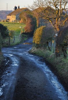 a dirt road that is next to a field with trees and houses in the background