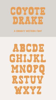 some type of font that is orange and white with the letters below it in different colors