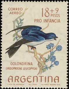 a postage stamp with a bird on it's back and the words argentina written in spanish