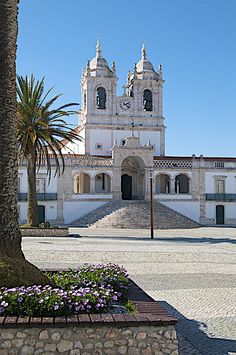 a large white building sitting next to a palm tree and flower bed in front of it