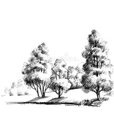 a black and white drawing of trees on a hill