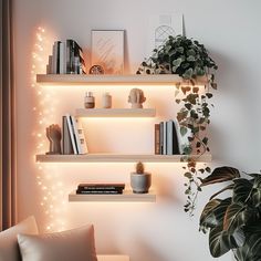 some shelves with books and plants on them