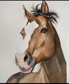 a watercolor painting of a horse with its head turned to the side and it's mouth open