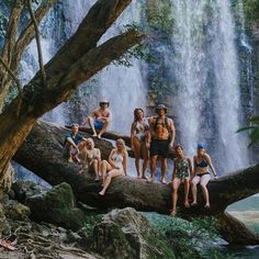 a group of people sitting on top of a fallen tree in front of a waterfall