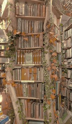 a room filled with lots of books and plants