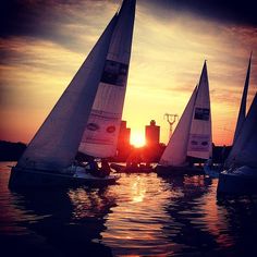 several sailboats are sailing in the water at sunset