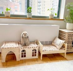 a small dog sitting on top of a wooden bench next to a window with potted plants