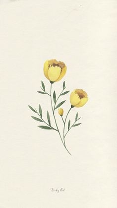 three yellow flowers with green leaves on a white background in watercolor and ink by artist wendy lee