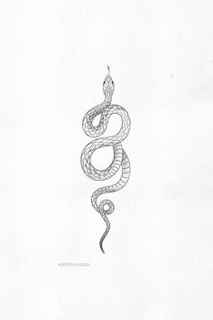 a drawing of a snake with a candle in it's mouth and its tail curled up