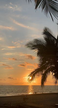 sunset mexico Summer Wallpaper Palm Trees, Palm Tree Asethic Wallpaper, Pom Trees Aesthetic, Palm Trees On Beach, Gambia Aesthetic, Palm Tree Wallpaper Iphone, Formal Wallpaper, Sunset Wallpaper Iphone, Palm Trees Aesthetic