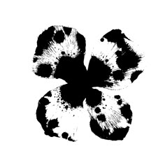 a black and white flower on a white background