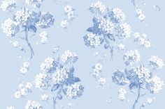 a blue and white flowered background with small white flowers on a light blue background