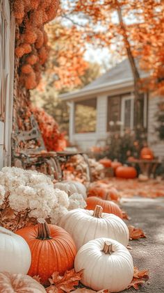 pumpkins and hydrangeas are lined up on the front porch