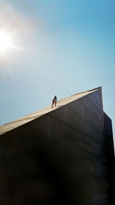 a person standing on top of a roof with the sun shining behind them and a bird flying overhead