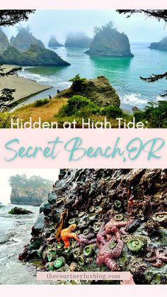 the hidden beach is located on an island with many rocks and seaweed in it