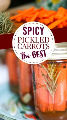 pickled carrots in jars with the title spicy pickled carrots the best