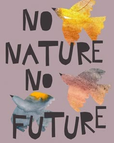 no nature no future is written in black ink on a purple background with yellow and orange leaves