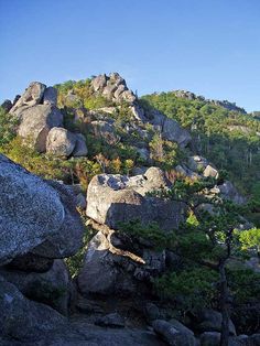 some very pretty rocks and trees on a mountain side with blue sky in the background