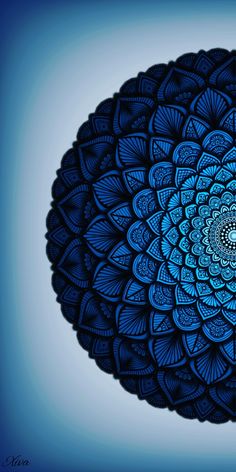 an intricate blue flower is seen in this image