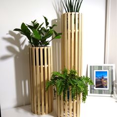 two tall wooden vases with plants in them