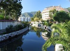 a river running through a lush green forest next to tall buildings