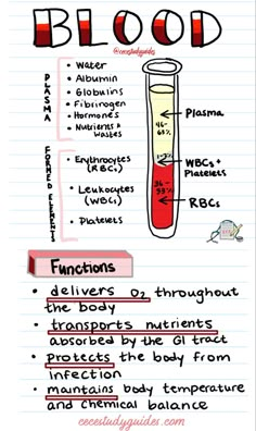 Blood and Blood components with the function of blood below. Nursing notes on blood hand drawn on iPad Pro Studie Hacks, Studera Motivation, Medical School Life, Nursing School Motivation, Basic Anatomy And Physiology, Nurse Study Notes, Nursing Student Tips, Biology Facts