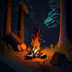 a campfire in the middle of a forest at night