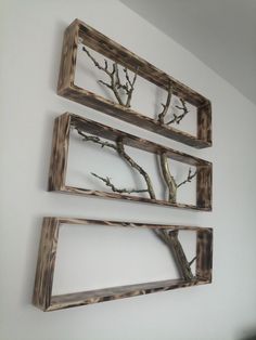 three wooden shelves with branches hanging on the wall