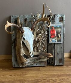 a deer skull mounted on a wooden frame with antlers and branches in front of it