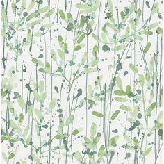 Leandra Green Floral Trail Wallpaper from the Scott Living II Collection by Brewster Home Fashions Painterly Style, Brewster Wallpaper, Scott Living, A Street Prints, Green Texture, W Wallpaper, Contemporary Wallpaper, Blue Texture, Wallpaper Rolls